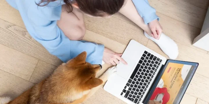 Develop an Easy-to-Use Website for Your Irish Grooming Services with MyFinder.ie