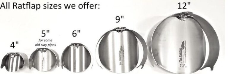 inbound2095367119069298110 768x252