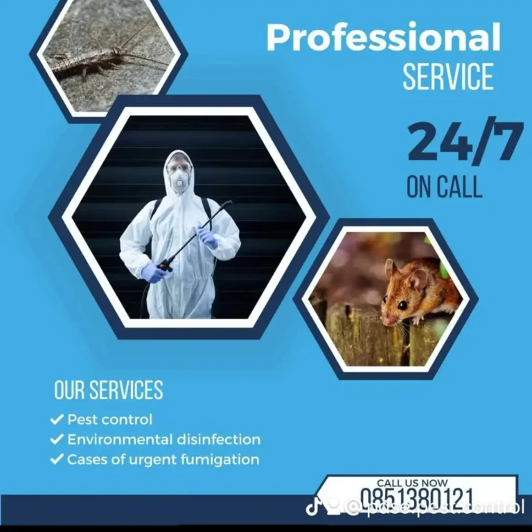 inbound4651293350129652994 768x768