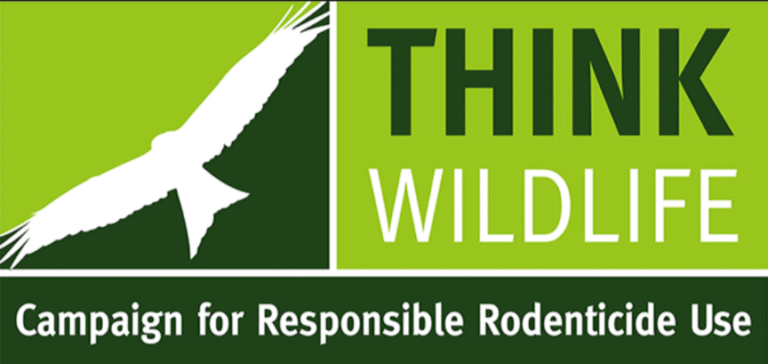 inbound7825180410869028217 768x364