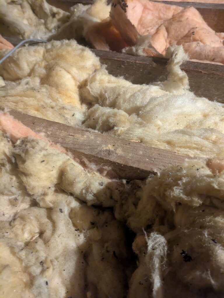 inbound8980112586533823807 768x1023