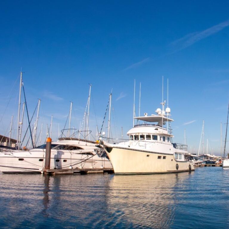 yacht 4 768x768